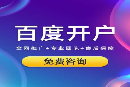 某行业领军企业的SEM广告投放策略